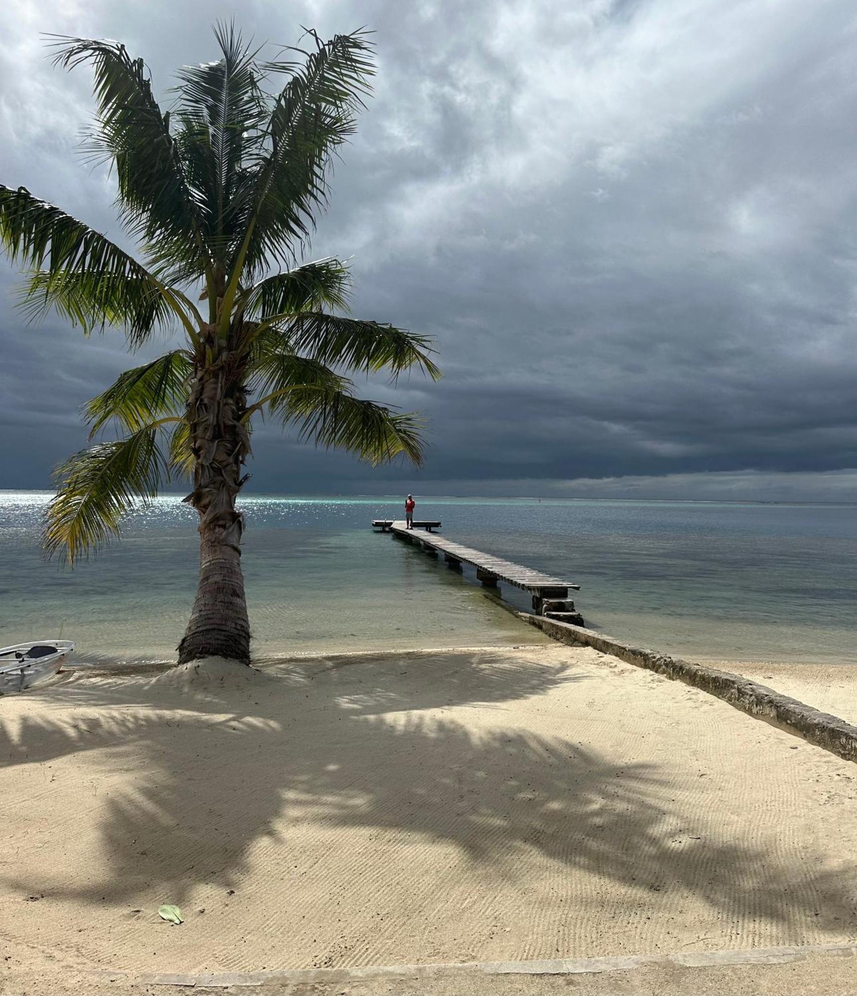 Chez Jay Moorea Beach House Villa Maharepa  Bagian luar foto